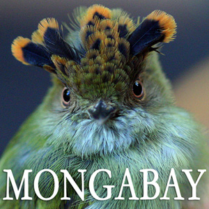 Mongabay.com